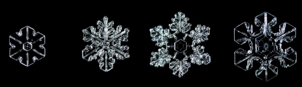 All-Day MAKE Activity: Snowflake Symmetry